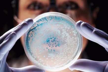 prostatitisaren tratamendua antibiotikoekin